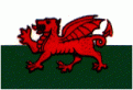 Click image for larger version

Name:	wales.gif
Views:	363
Size:	4.8 KB
ID:	1681978