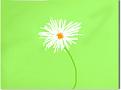 Click image for larger version

Name:	flower by jennifer.JPG
Views:	168
Size:	12.8 KB
ID:	1684124