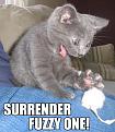 Click image for larger version

Name:	surrender-fuzzy-one.jpg
Views:	567
Size:	40.9 KB
ID:	1684728