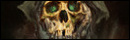 Mystery Case Files: 13th Skull Collector's Edition