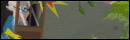 Rise Of The Plants