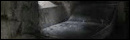 Asylum Survival Escape