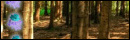 The Ghostly Forest Escape