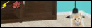 Kitten Room Escape